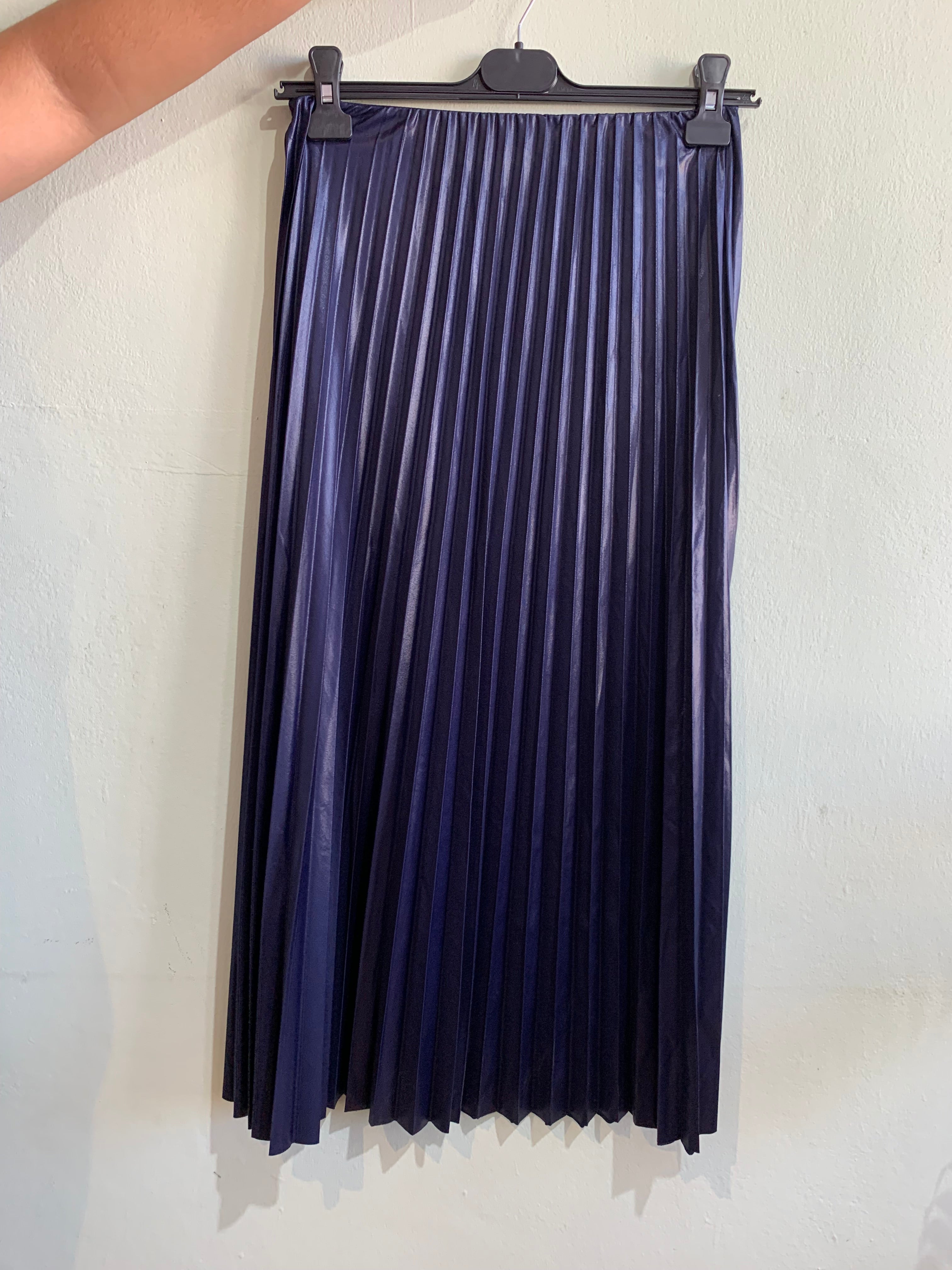 Sheen Pleated Skirt