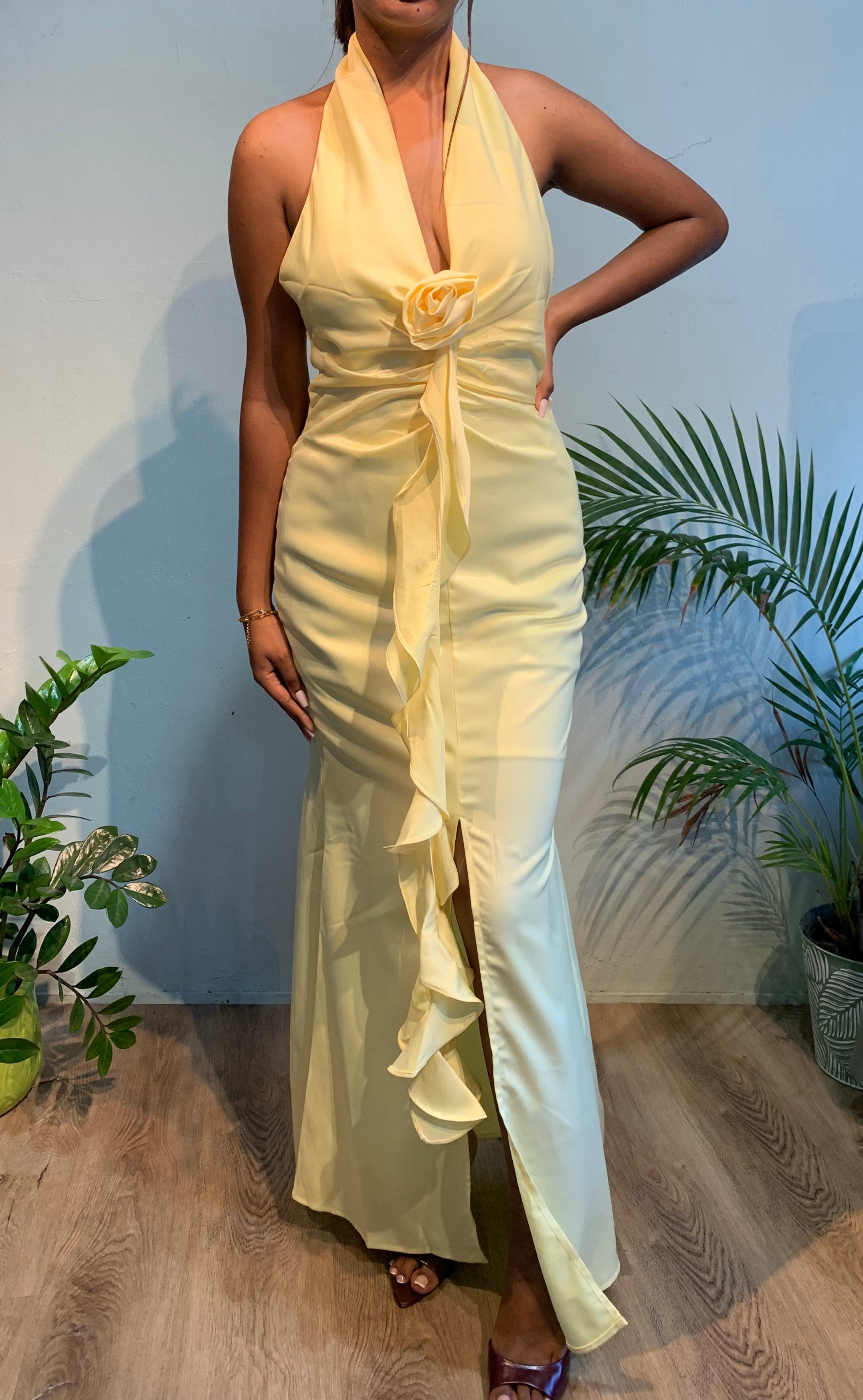 Silia dress