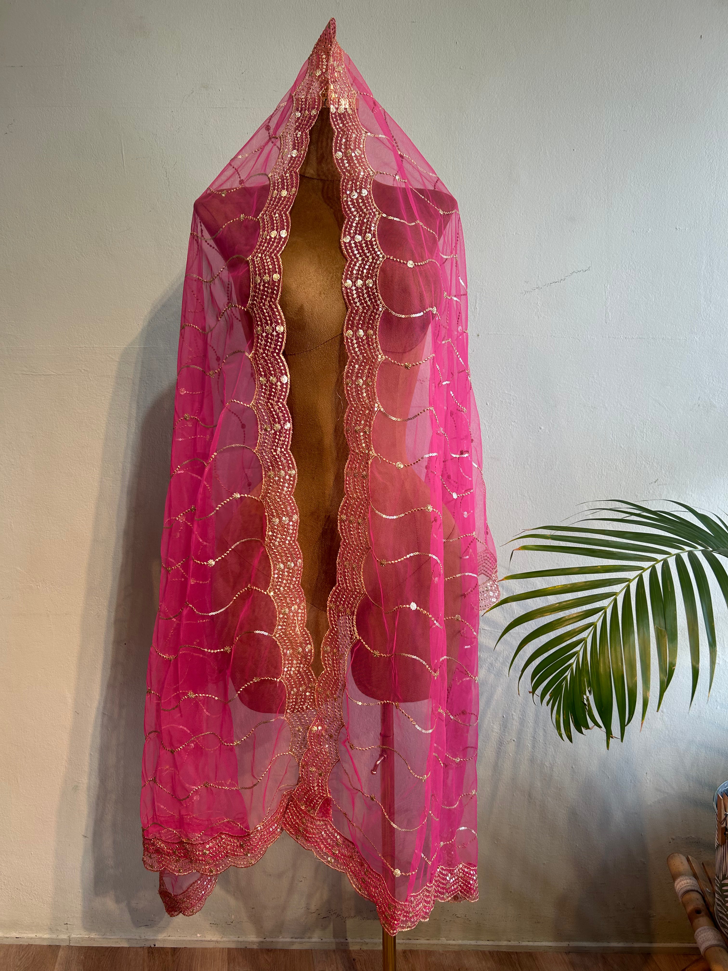Net dupatta with sequins