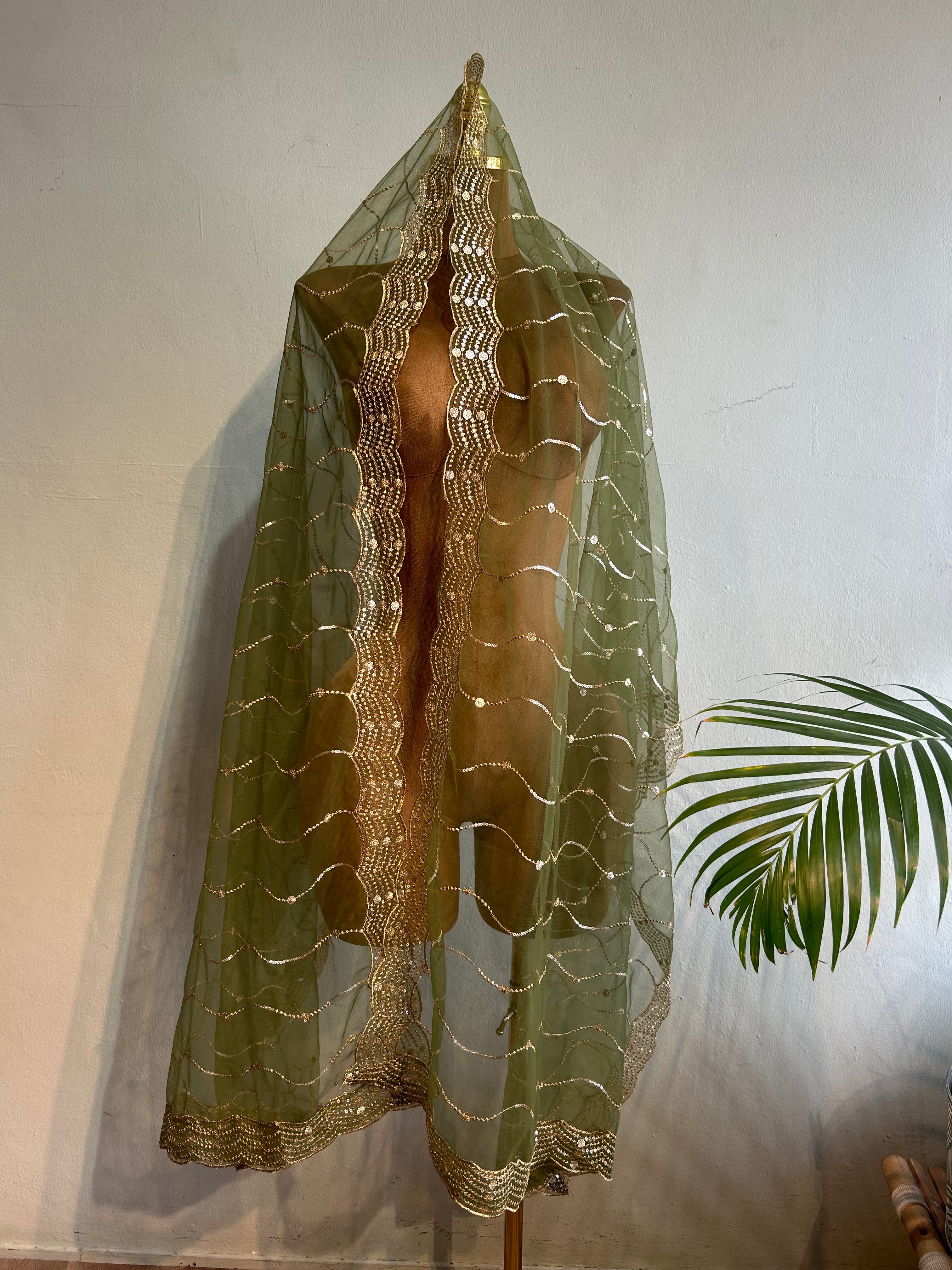 Net dupatta with sequins