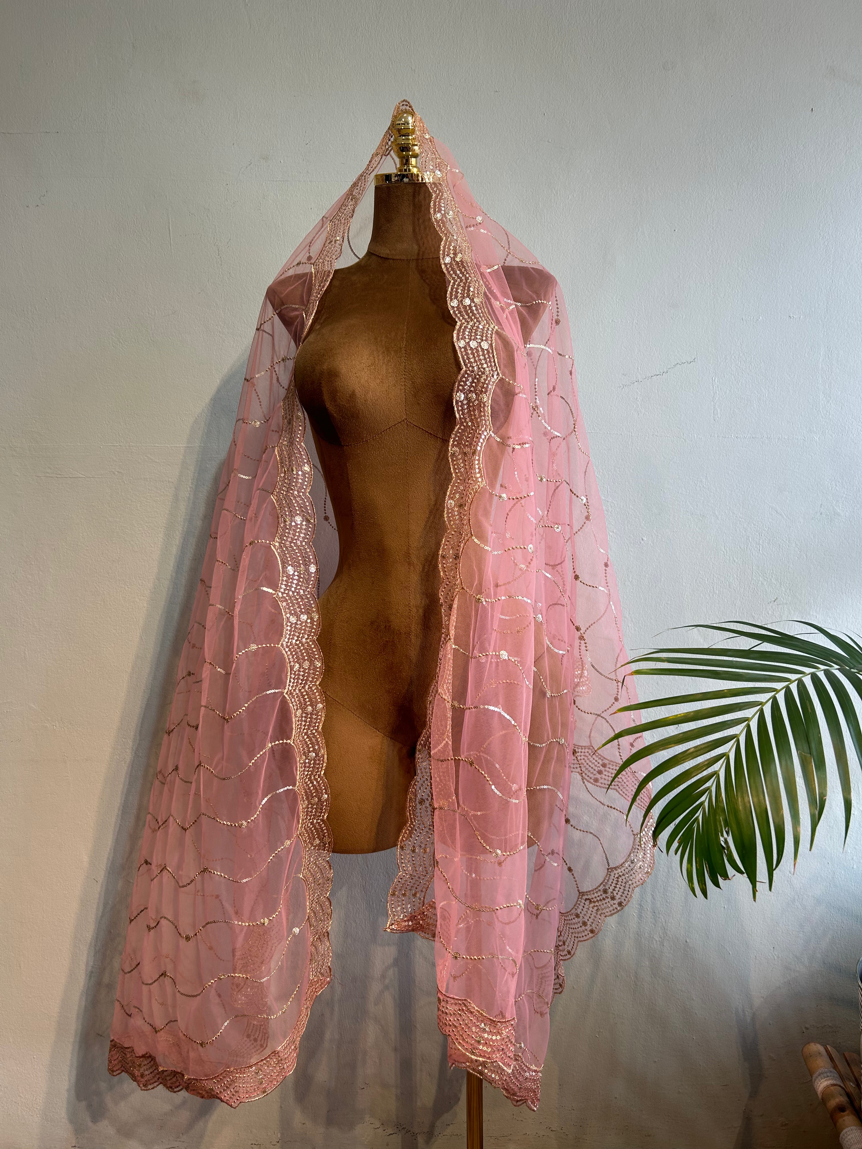Net dupatta with sequins