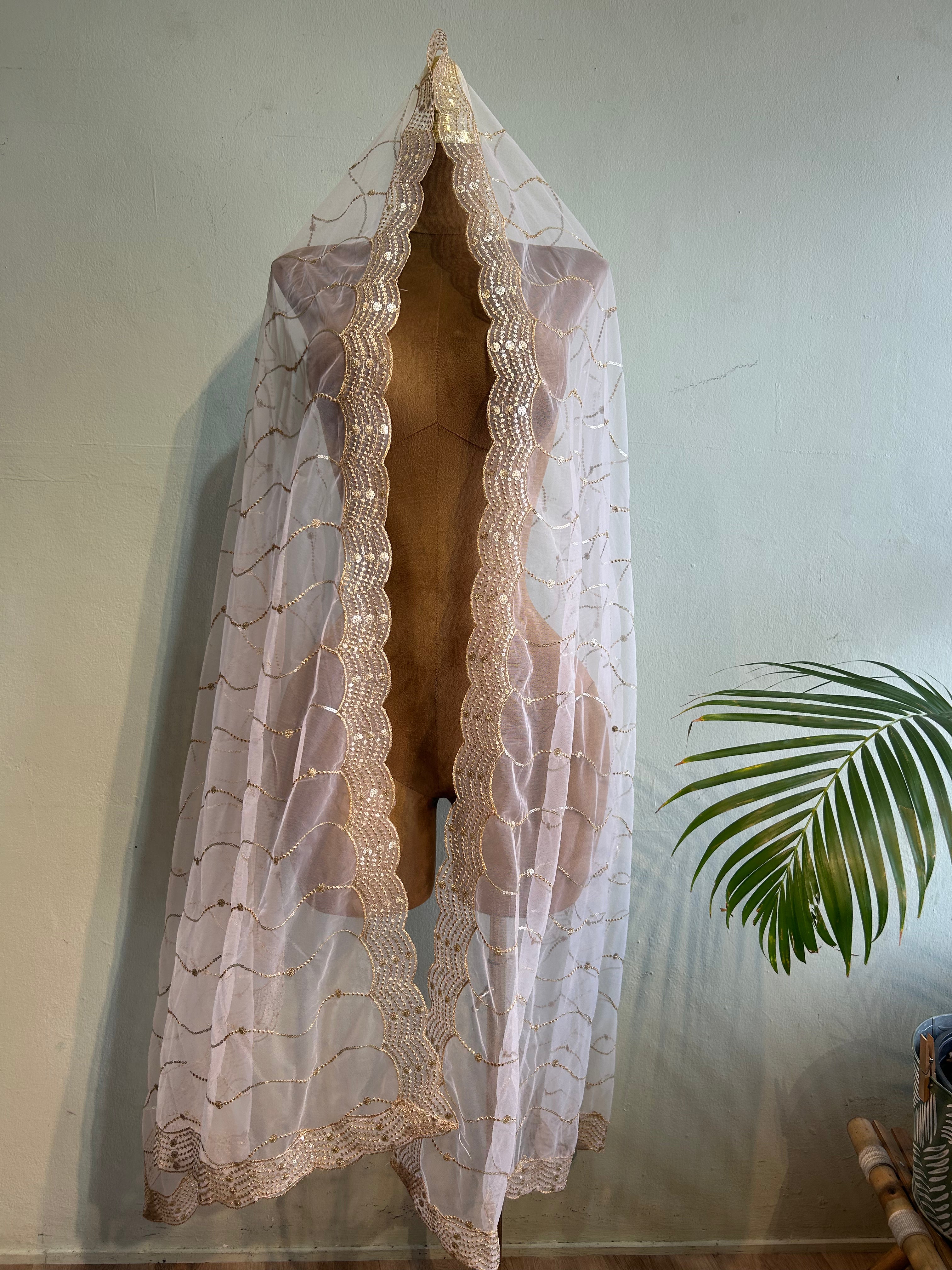 Net dupatta with sequins
