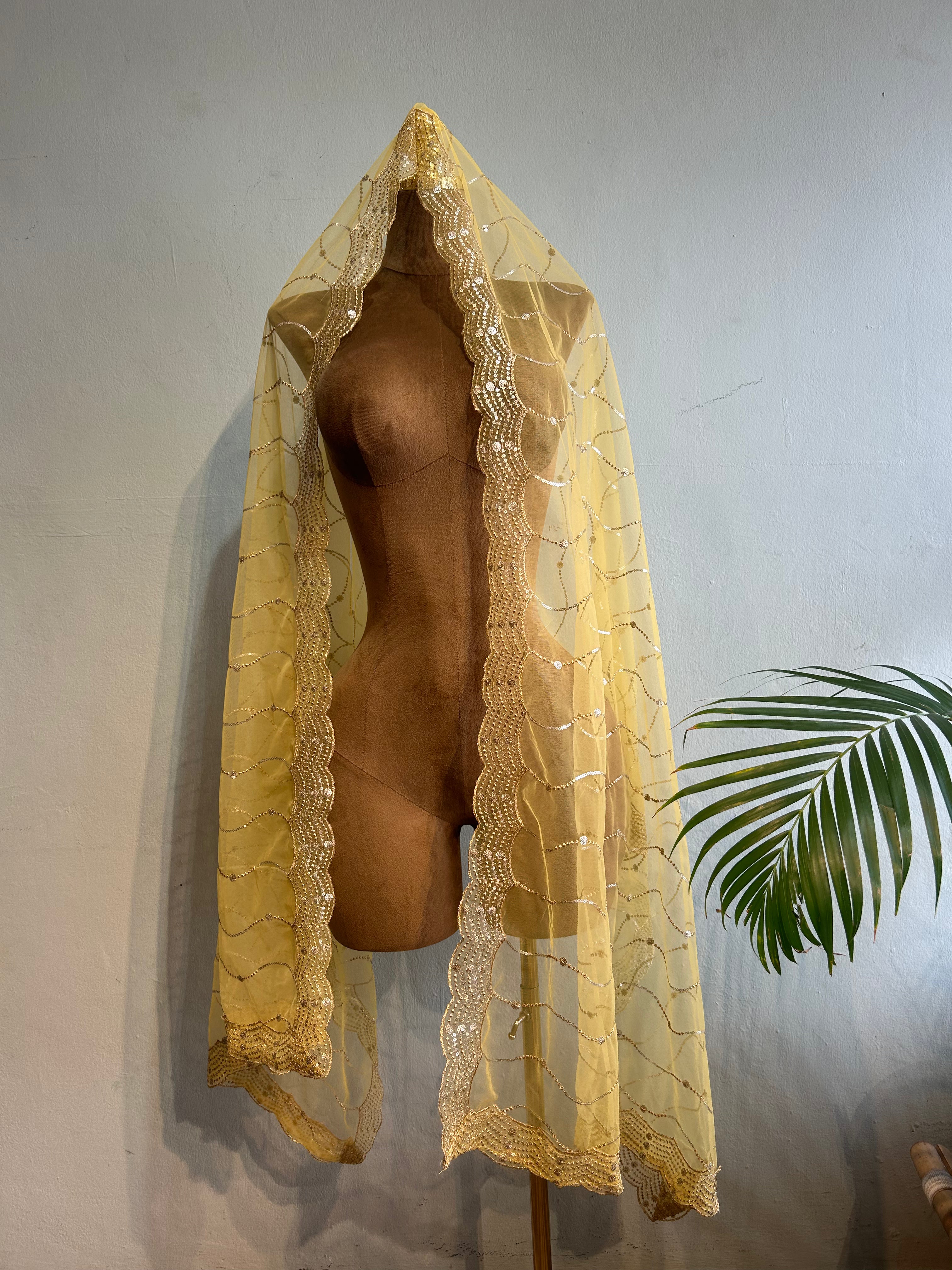 Net dupatta with sequins